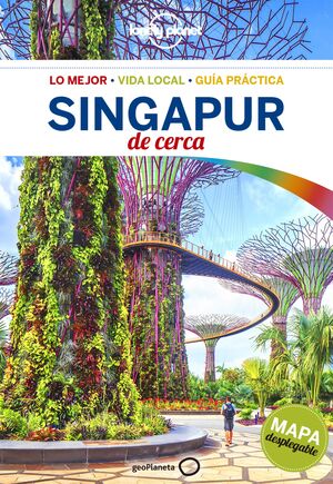 SINGAPUR DE CERCA 1