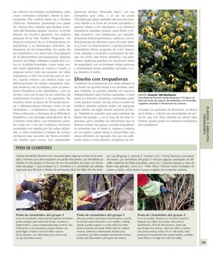 ENCICLOPEDIA DE PLANTAS Y FLORES