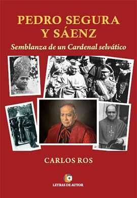 PEDRO SEGURA Y SÁENZ
