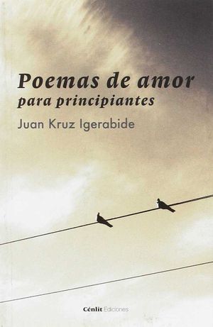 POEMAS DE AMOR PARA PRINCIPIANTES