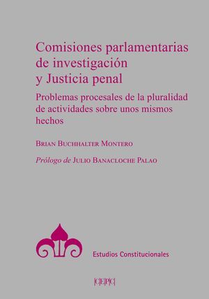 COMISIONES PARLAMENTARIAS DE INVESTIGACIÓN Y JUSTICIA PENAL