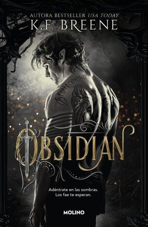LOS FAE DE LAS SOMBRAS 1 - OBSIDIAN