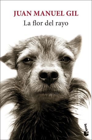 LA FLOR DEL RAYO
