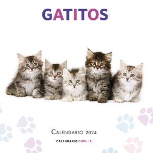 GATITOS 2024
