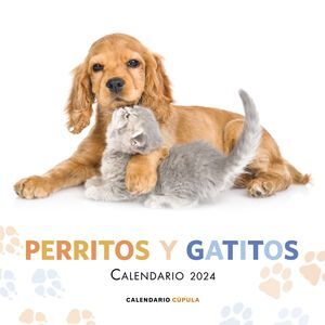 PERRITOS Y GATITOS 2024
