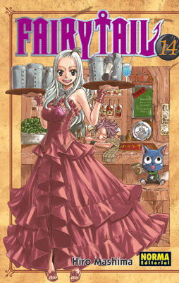 FAIRY TAIL 14
