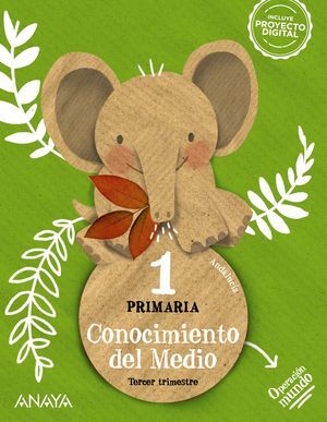 CONOCIMIENTO DEL MEDIO 1