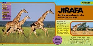MI PRIMER GRAN LIBRO DE LOS ANIMALES