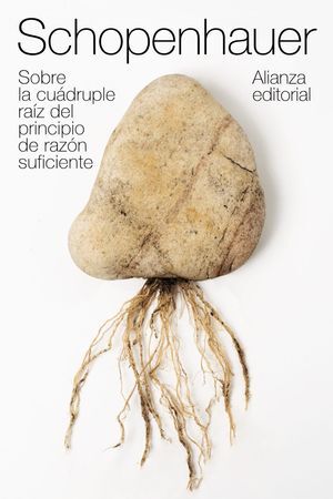 SOBRE LA CUÁDRUPLE RA­Z DEL PRINCIPIO DE RAZÓN SUFICIENTE