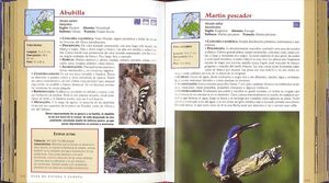 CULTIVAR PLANTAS MEDITERRANEASEN CASA Y EL JARDIN