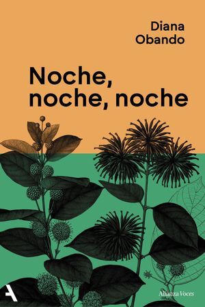 NOCHE, NOCHE, NOCHE