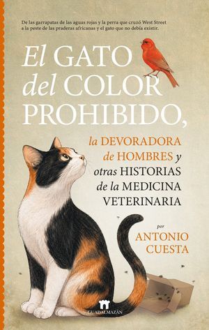 GATO DEL COLOR PROHIBIDO, EL