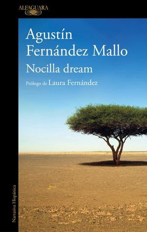 NOCILLA DREAM